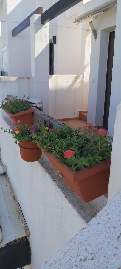 Condado De Alhama, Naranjos 8 Apartment Alhama de Murcia Exterior foto
